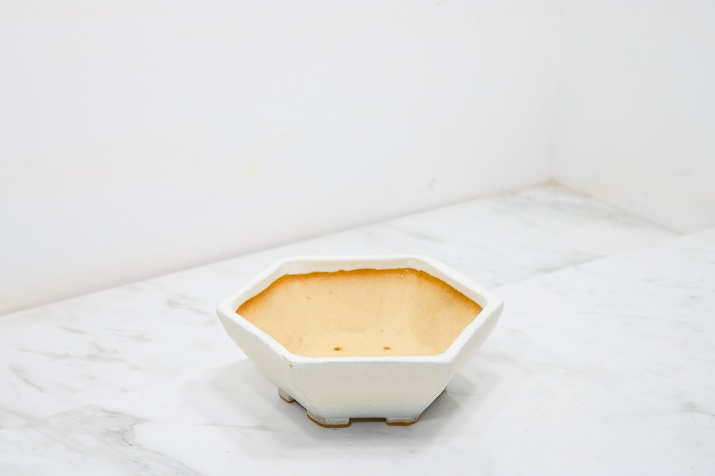 Romantic Cream DEEP Hexagon Bonsai Dish 17cm