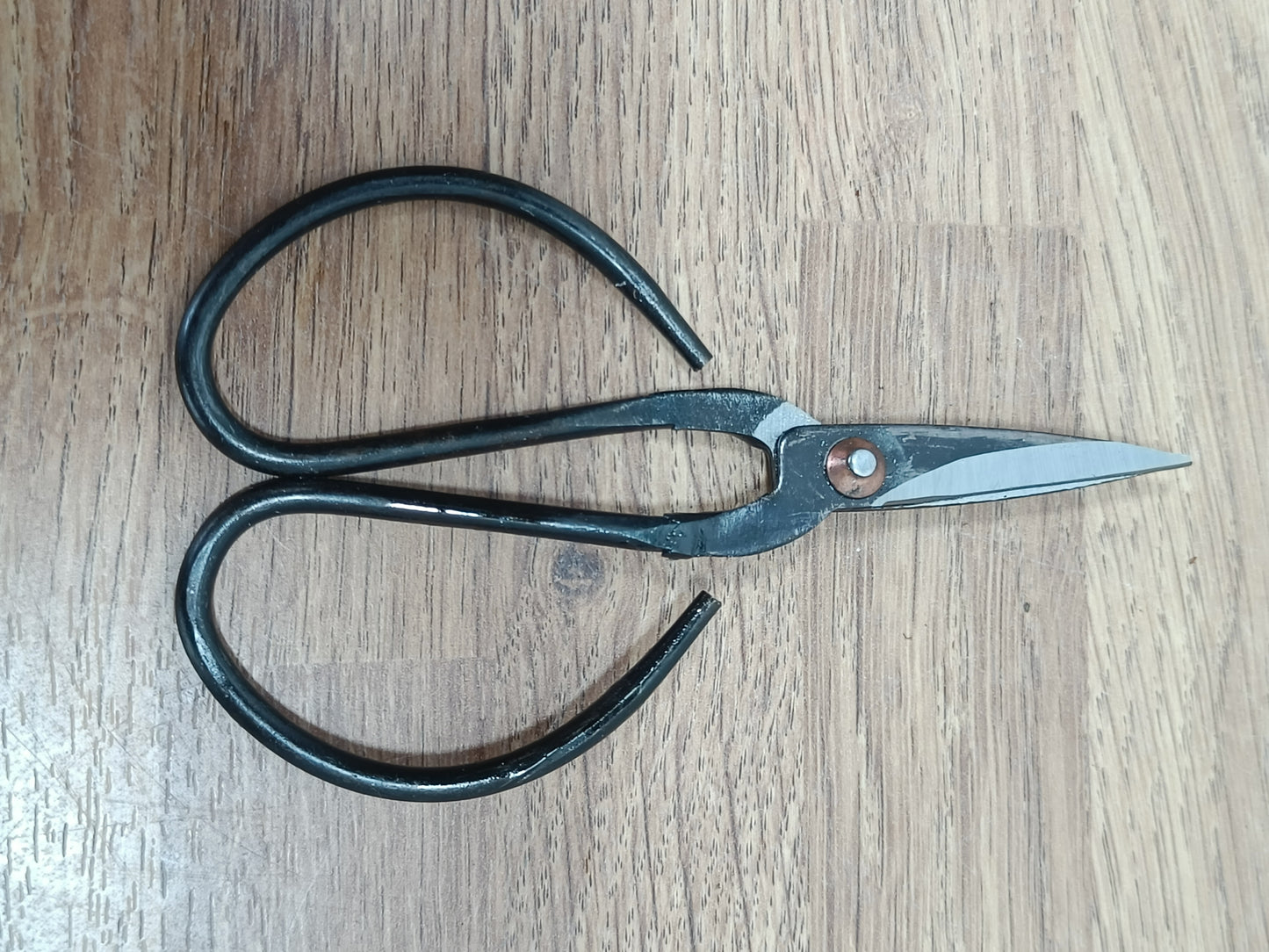 Bonsai Basic Care Set - Coir Brush and Budget Shears