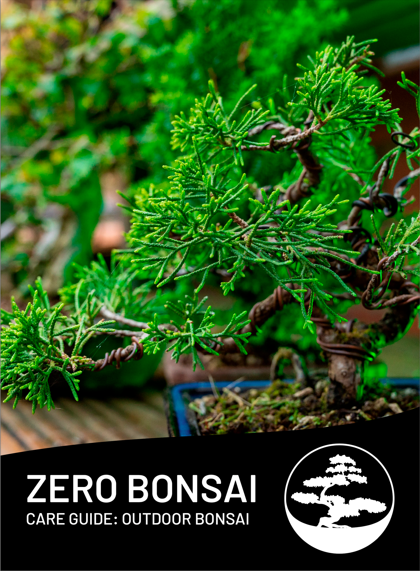 Outdoor Bonsai Care Guide (Digital)