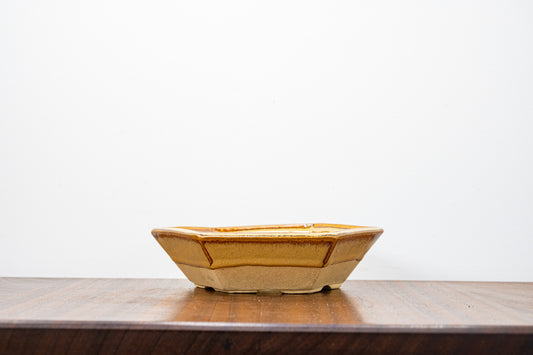 Topaz DEEP Hexagon Bonsai Dish 20cm - USED