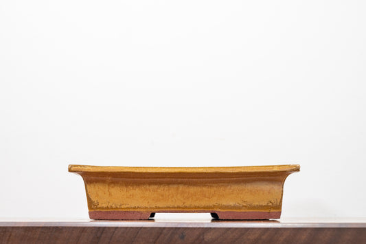 Topaz  Rectangular Ceramic Bonsai 23cm Dish