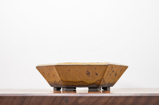 Tundra DEEP Hexagon Bonsai Dish 20cm