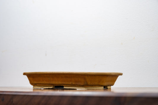 Venus Brown - Shallow Rectangular Ceramic Bonsai Pot 18cm
