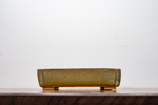 Tundra Rectangular  Ceramic Bonsai Pot 15cm