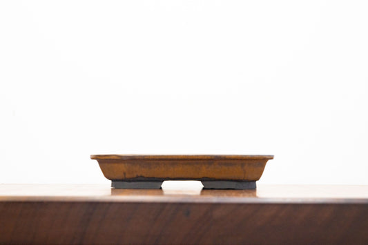 Venus Brown Rectangular Ceramic Bonsai Pot 18cm