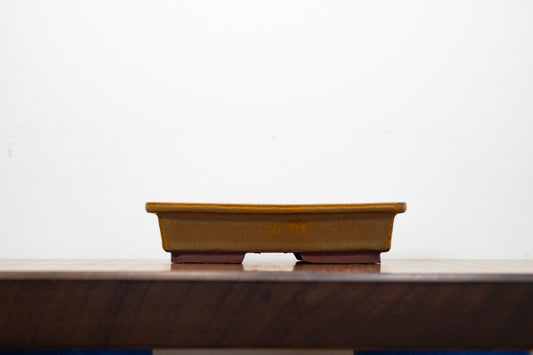 Venus Brown Rectangular Bonsai Dish 17cm