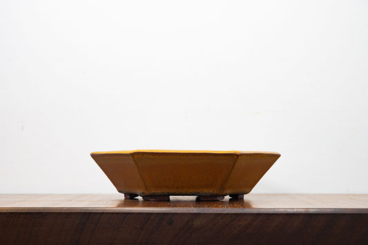 Venus Brown - DEEP Hexagon Bonsai Dish 20cm