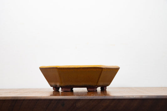 Venus Brown - DEEP Hexagon Bonsai Dish 16cm