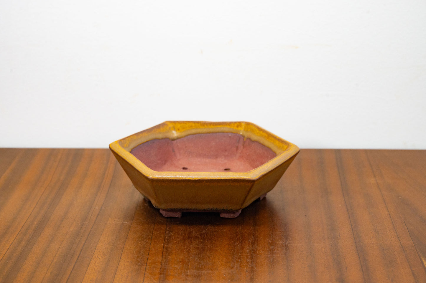 Venus Brown - DEEP Hexagon Bonsai Dish 16cm