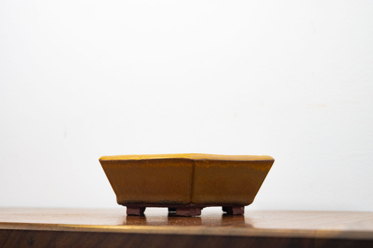 Venus Brown - DEEP Hexagon Bonsai Dish 16cm
