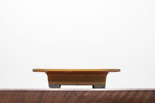 Venus Brown Shallow Rectangular Ceramic Bonsai 21cm Dish