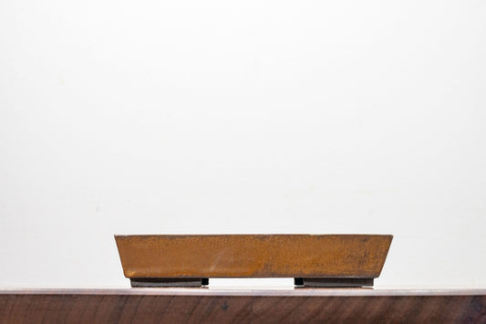 Venus Brown Shallow Rectangular Ceramic Bonsai 22cm Dish