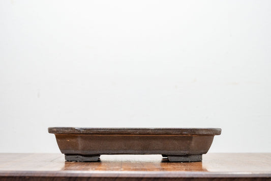 Black - Venus Brown Rim - Rectangular Ceramic Bonsai Pot 18cm
