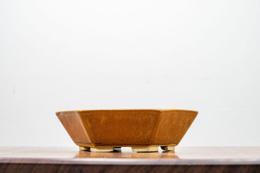 Topaz- DEEP Hexagon Bonsai Dish 16cm