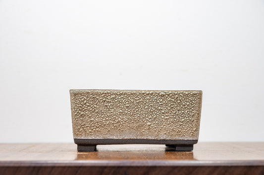 Textured Light Green - Black Clay - Chunky Deep Rectangular Ceramic Bonsai Dish 13cm