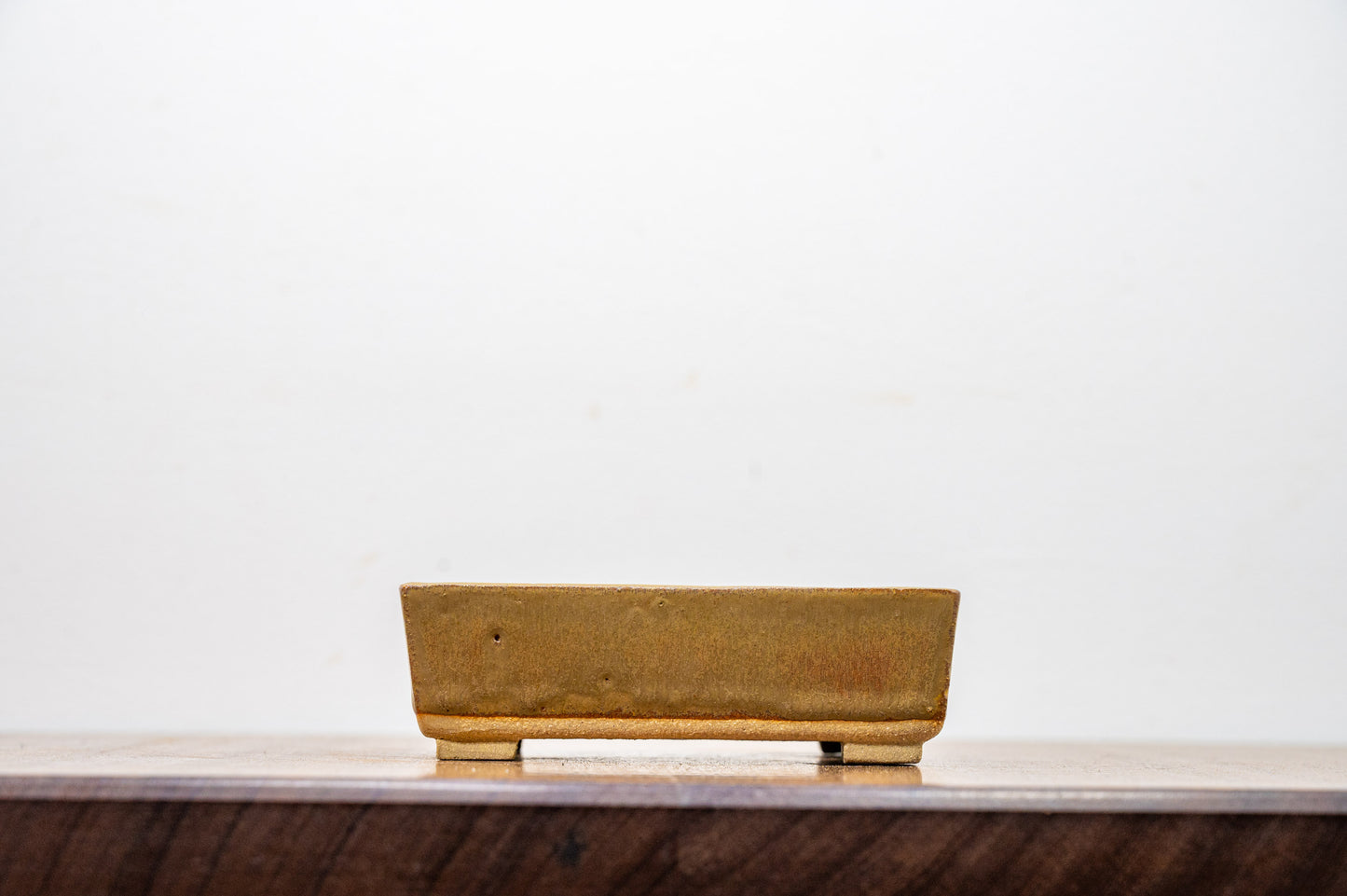 Venus Brown Rectangular Bonsai Pot 12cm