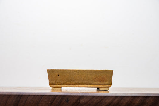 Venus Brown Rectangular Bonsai Pot 12cm