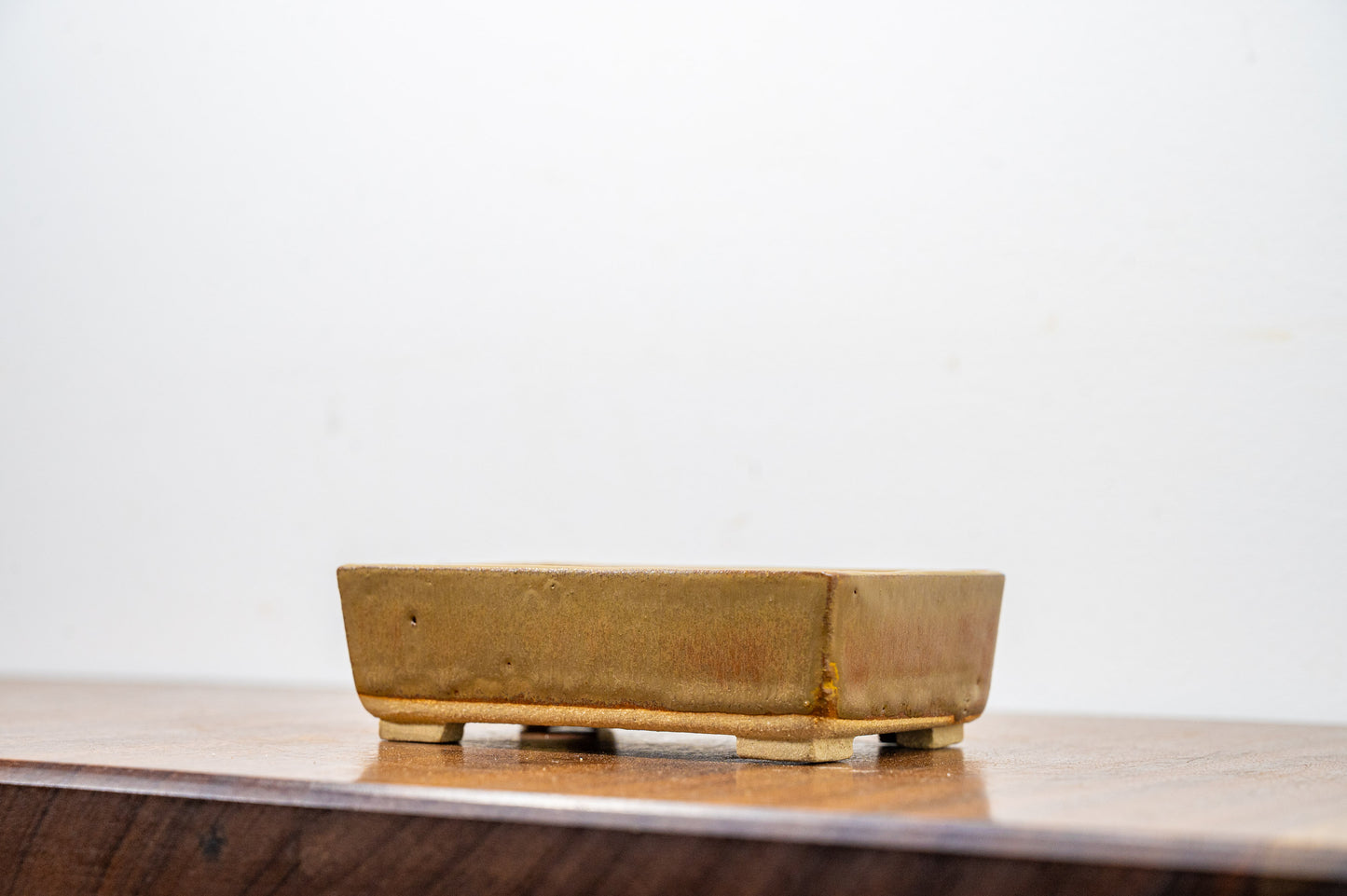 Venus Brown Rectangular Bonsai Pot 12cm