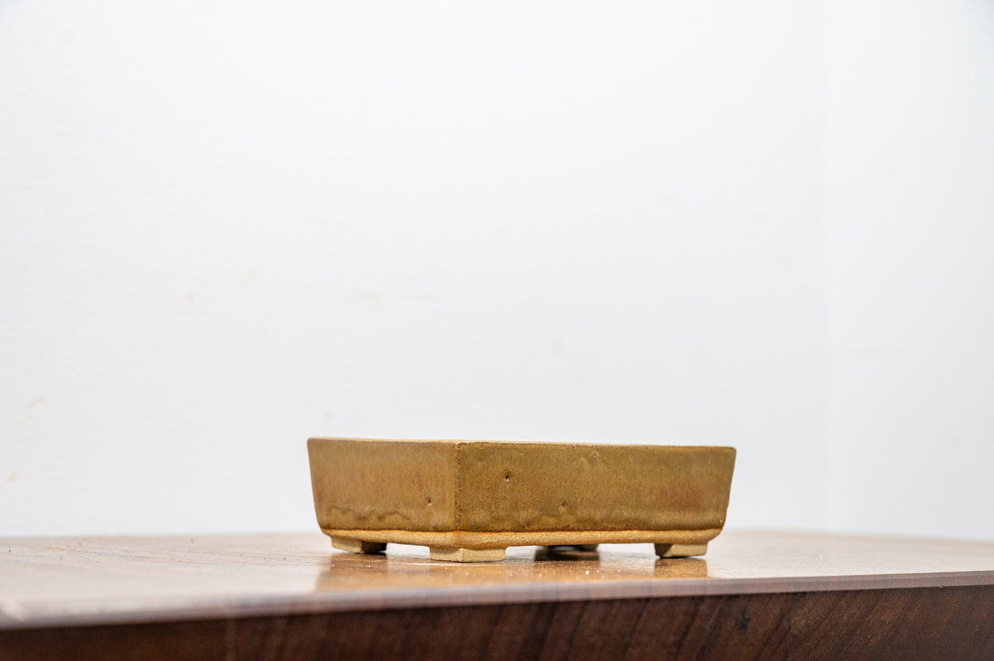 Venus Brown Rectangular Bonsai Pot 12cm