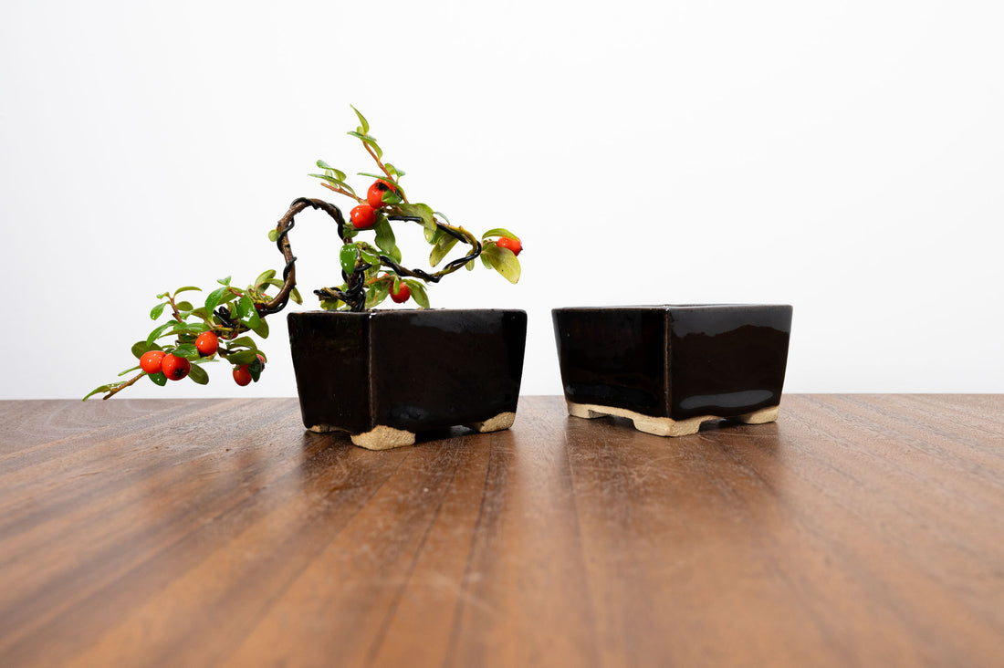 Zero Bonsai Handmade Pots