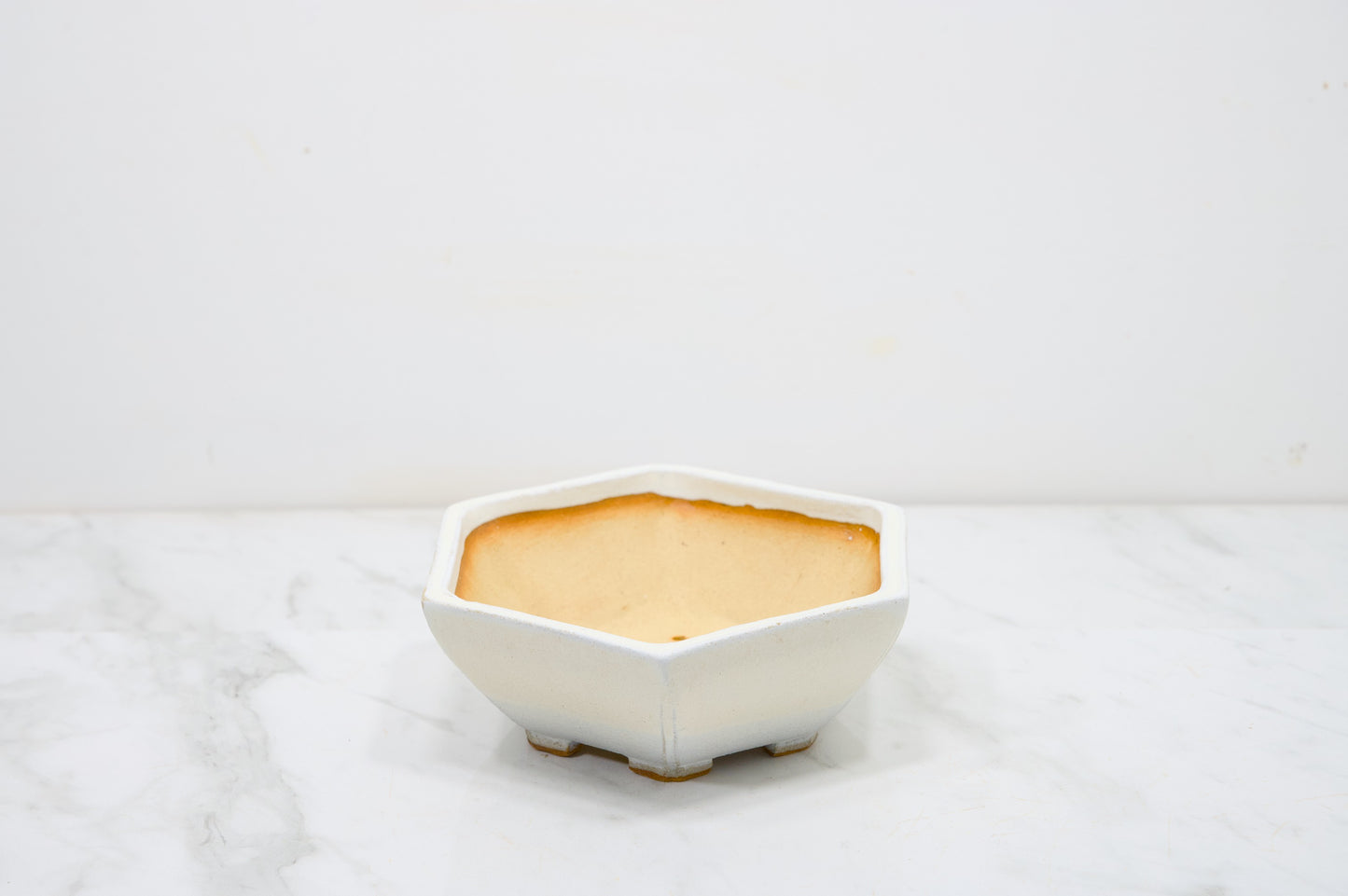 Romantic Cream DEEP Hexagon Bonsai Dish 17cm
