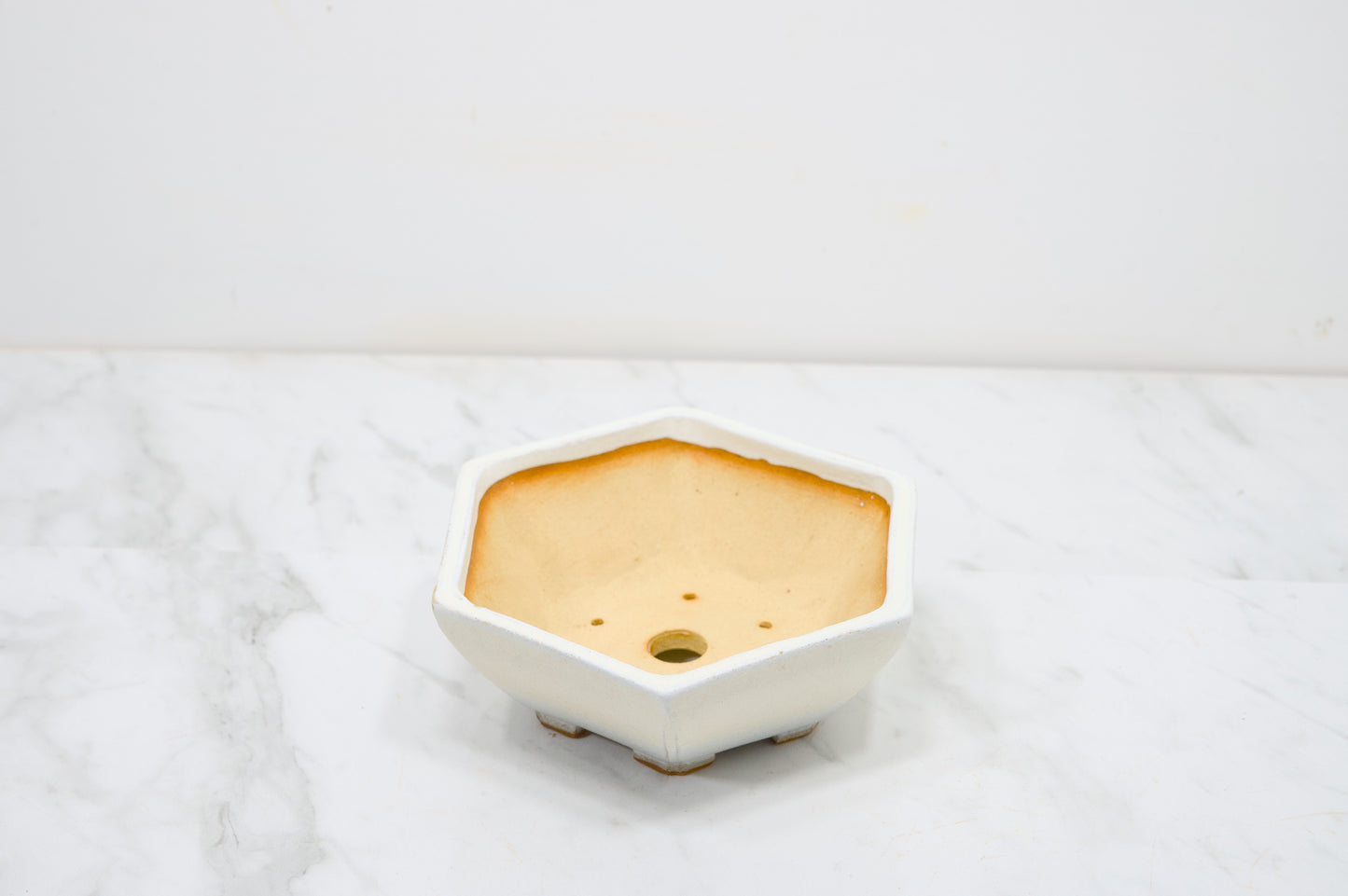 Romantic Cream DEEP Hexagon Bonsai Dish 17cm