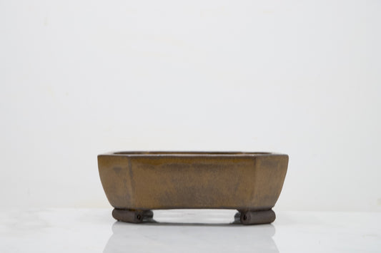 Venus Brown Cut Cornered Square Ceramic 17cm Bonsai Dish