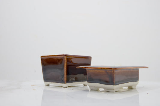Dark Brown - White Stoneware Twin Pack  MAME  Bonsai Ceramic   OFFER