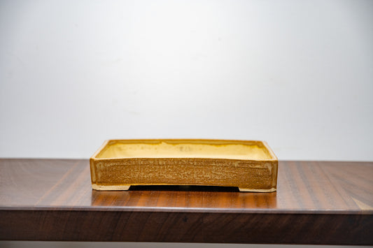 Topaz Rectangular Ceramic Bonsai Pot 22cm