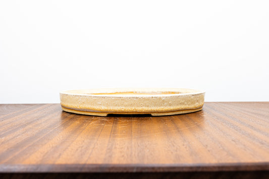 Oatmeal SHALLOW Oval Ceramic Bonsai Dish 24cm
