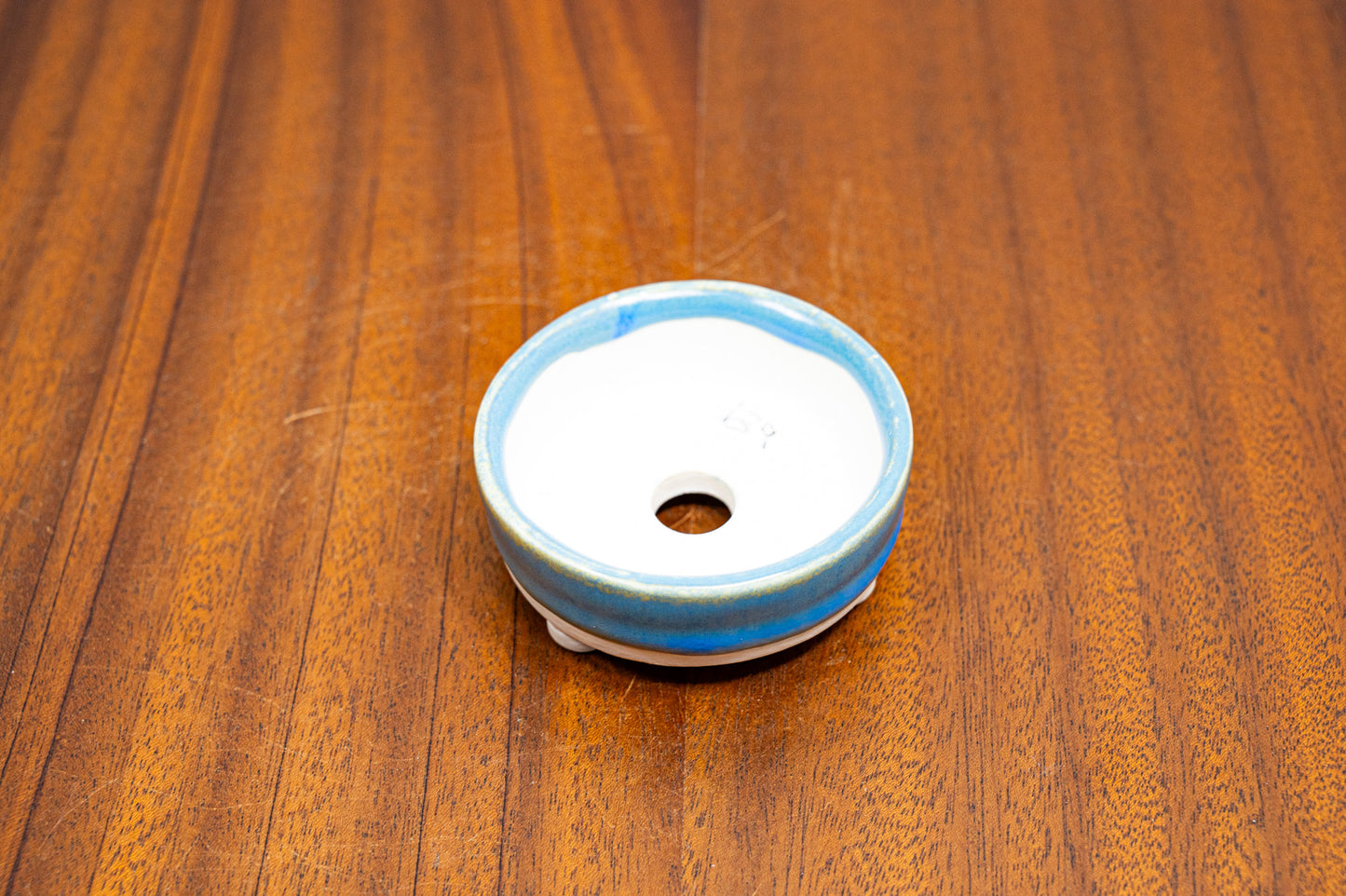 Symphony Blue White Stoneware Round MAME Bonsai Pot 5.5cm