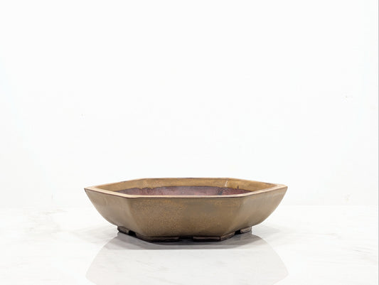 Topaz - Hexagon Bonsai Dish 20cm