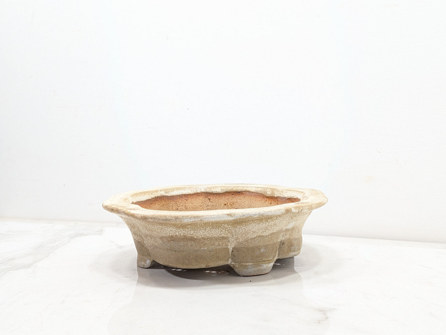 Cookies &  Cream - 19cm Lotus Dish