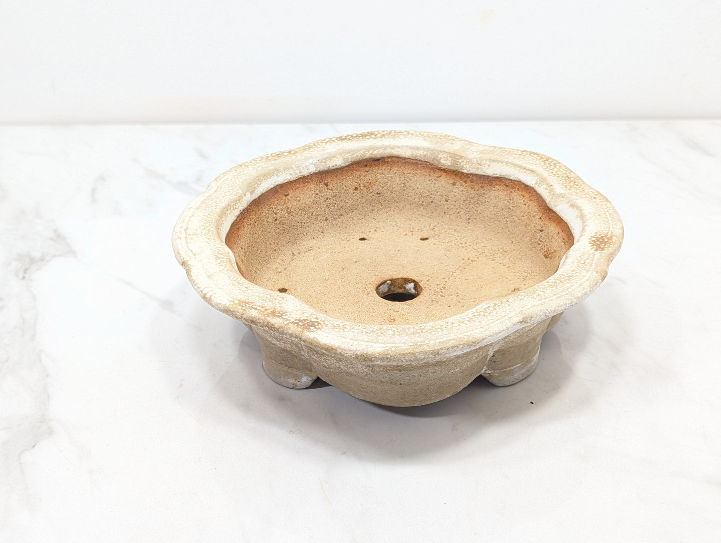 Cookies &  Cream - 19cm Lotus Dish