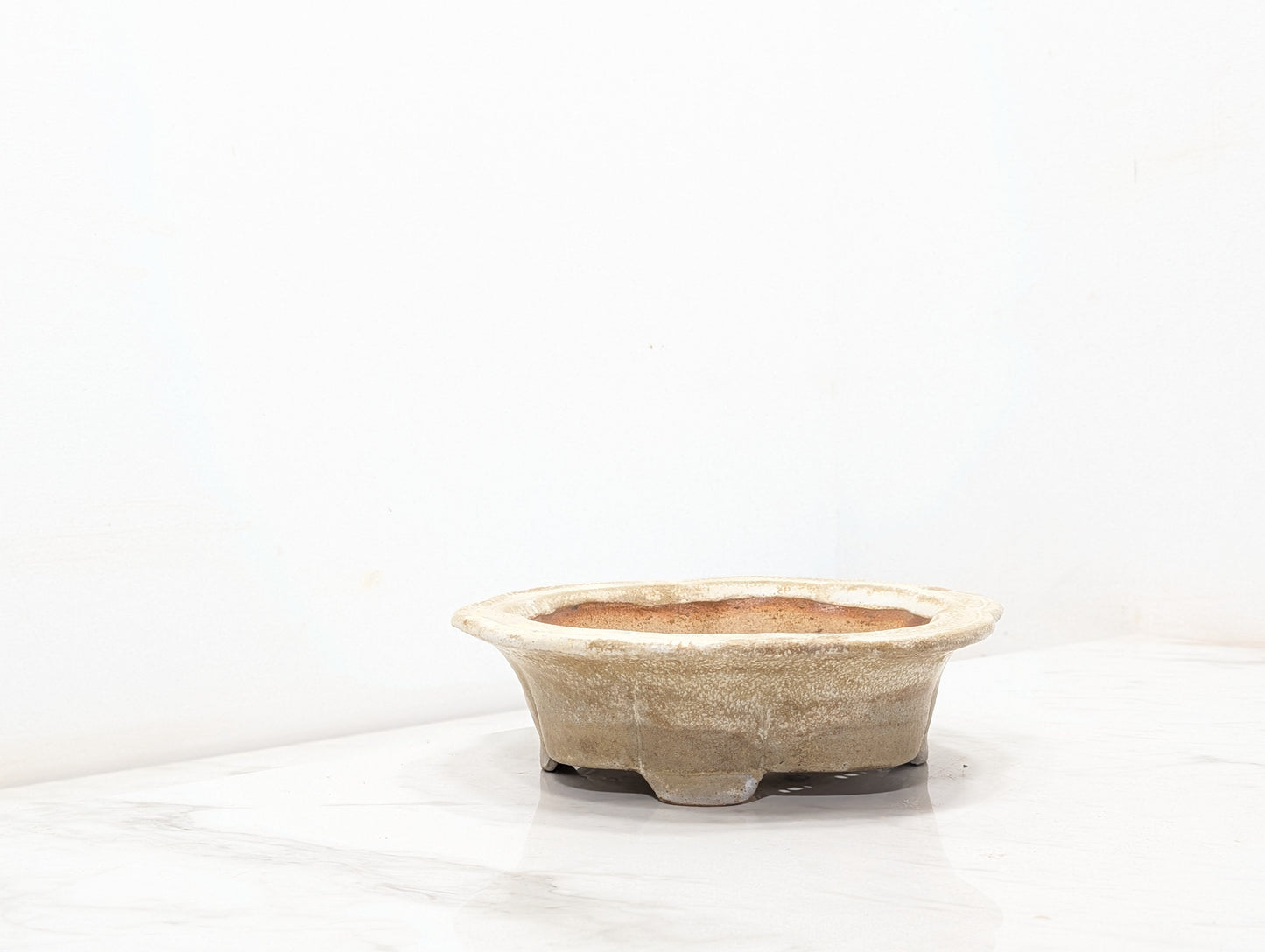 Cookies &  Cream - 19cm Lotus Dish