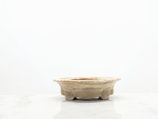 Cookies &  Cream - 19cm Lotus Dish