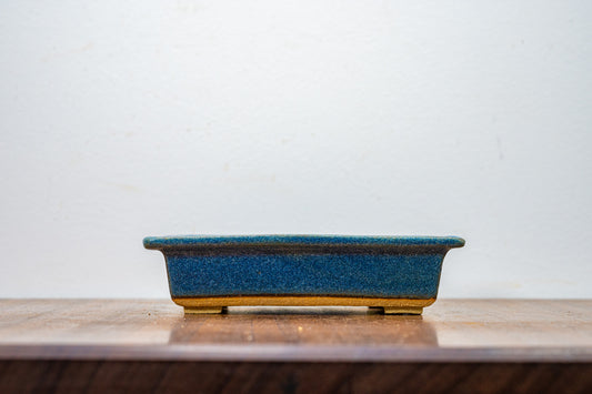 Matt Blue Rectangular Bonsai Pot 14cm