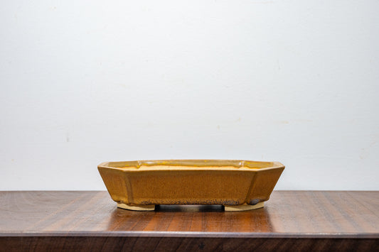 Venus Brown DEEP  Rectangular  Ceramic Bonsai Dish 21cm